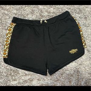 Disney Animal Kingdom Shorts (XL)